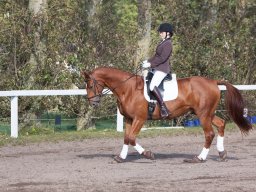 IMG_7786_web